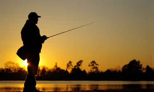 Man fishing during sunset